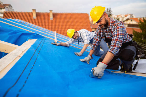 Fast & Reliable Emergency Roof Repairs in Albany, KY